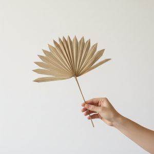Sun Spear Palm Leaf